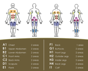 areas that can undergo Liposuction