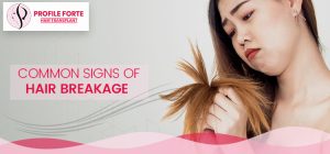 Common Signs Of Hair Breakage